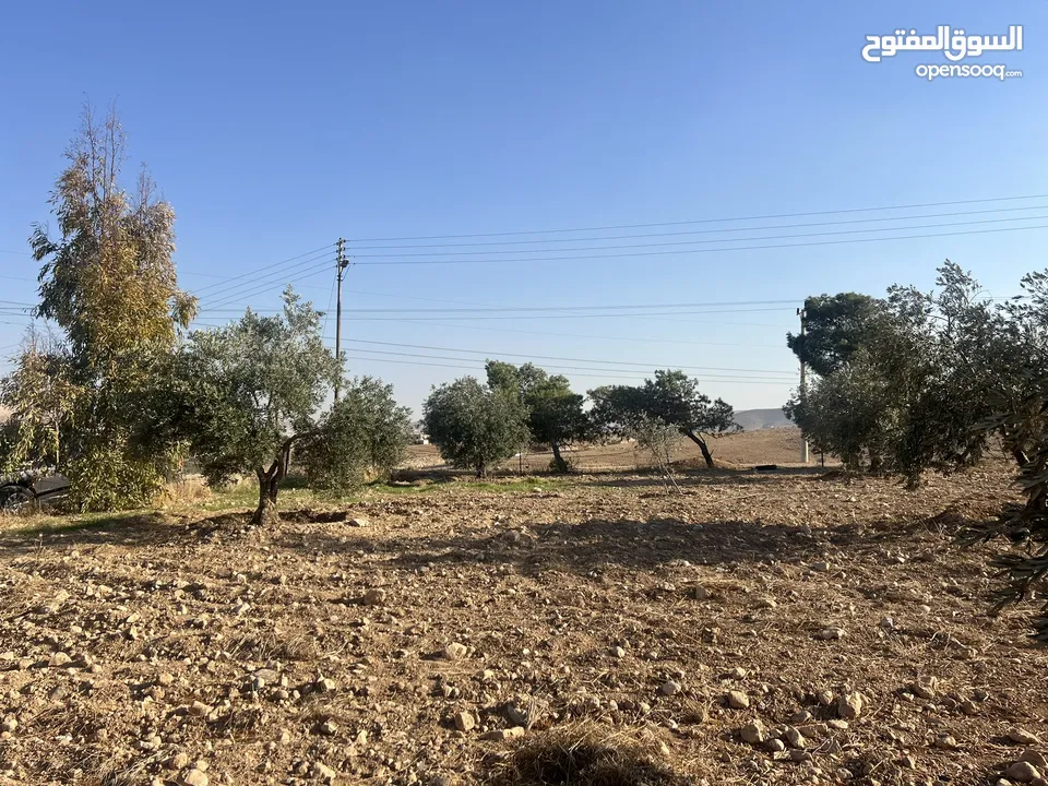 بسم الله الرحمن الرحيم  ارض للبيع في صروت مساحه 3531م3 جميع الخدمات ثاني قطعه عن شارع الرئيسي