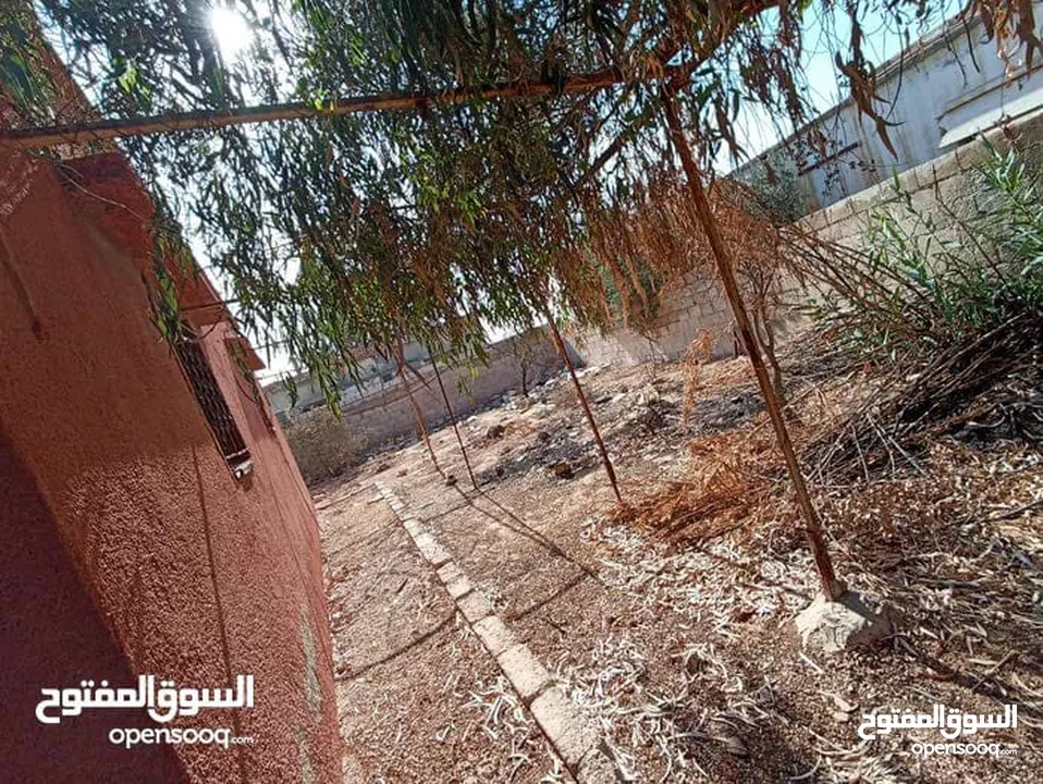 بيت مستقل للبيع في الهاشميه حي الفيحاء
