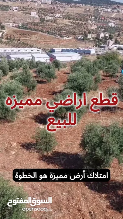 اراضي مميزه للبيع