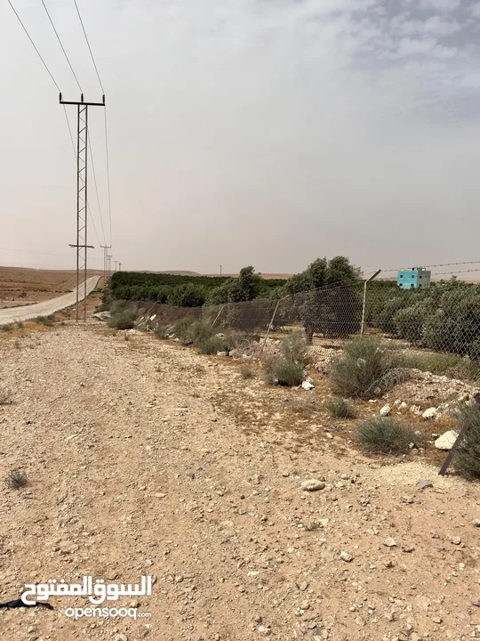 ارض للبيع جنوب المطار حوض الطلاق الشرقي بسعر مغري