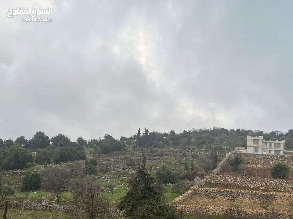 ارض للبيع في الأردن - عجلون