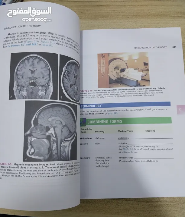 medical terminology