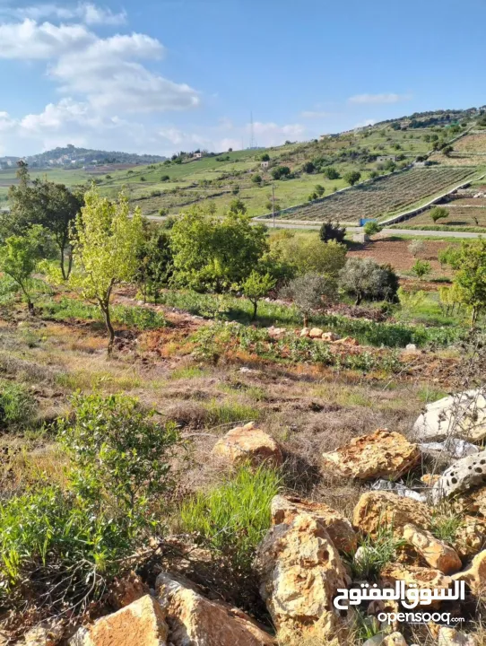 ارض للبيع في الأردن - عجلون