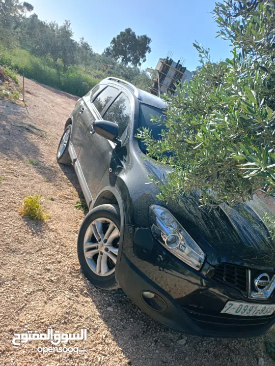 احمد سليم /قلقيلية/عزون