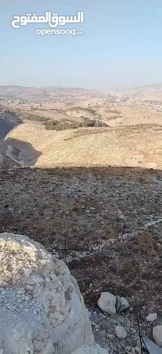 بعد الصلاة ع النبي أرض بموقع ممتاذ للأستثمار نابلس امتدات المساكن الشعبيه منطقة عين كاكوب