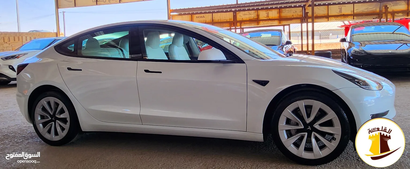 Tesla Model 3 Standerd Plus 2023 تسلا موديل
