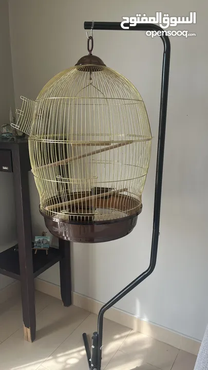 Birds cage and food for sale قفص و اكل للبيع