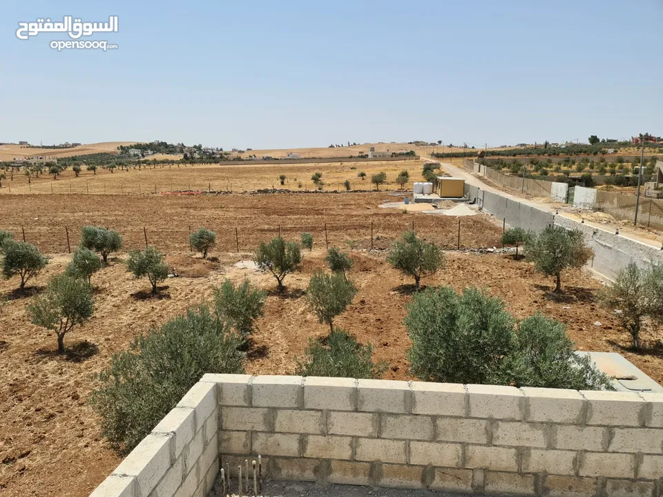 ارض مميزه للبيع