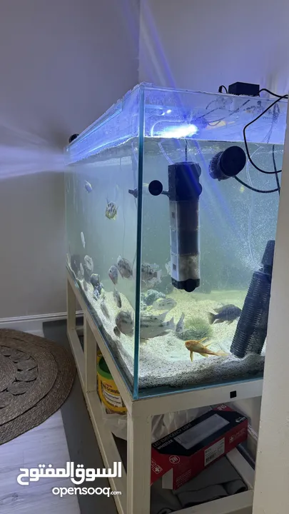 151x45cm fish tank