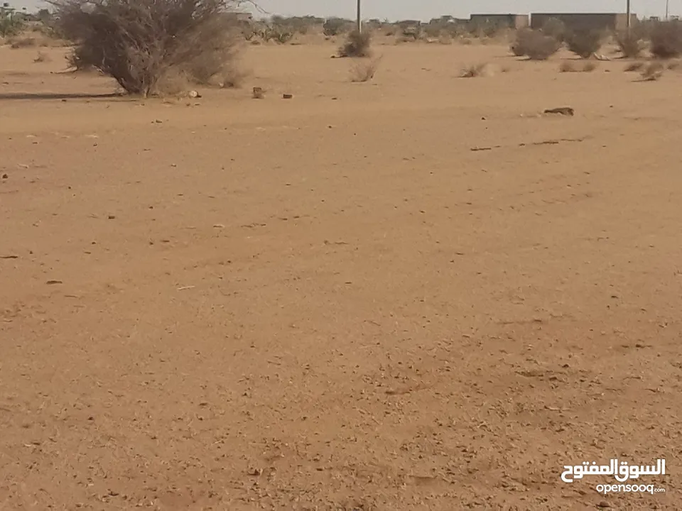 قطعة ارض  للبيع في ام درمان الريف الشمالي