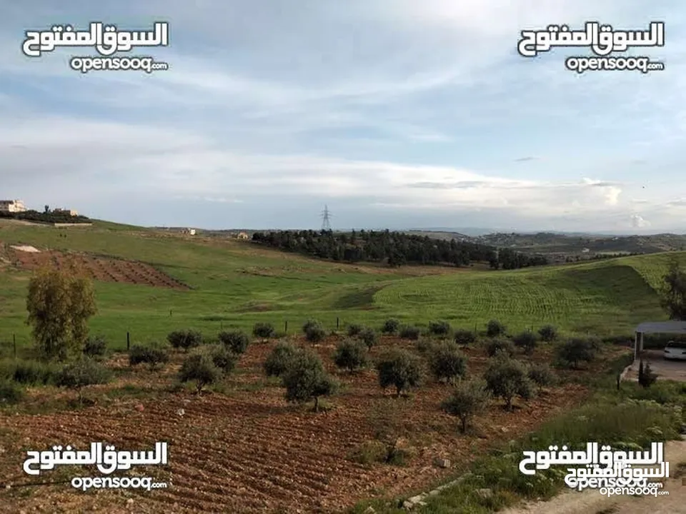 ارض للبيع مساحه 3 دنمات و 400م  مفروزه قزشان مستقل من المالك