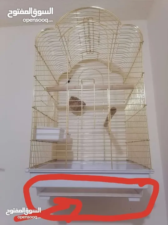 قفص ببغاء ذهبي