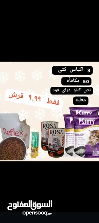 رملل قطط ومستلزمات قطط للبيع