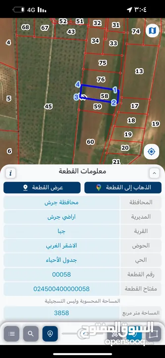 ارض لللبيع جرش جبا مقابل ثغرة عصفور منبسطه مثل الكف 5000متر بقوشان مستقل وسط المزارع والشاليهات