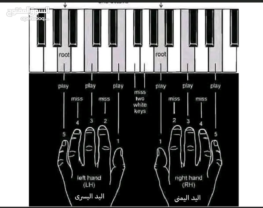 اورغ اورج كورغ ياماها