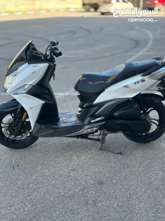 جيت 14 قنوني ضفة ملف شركة