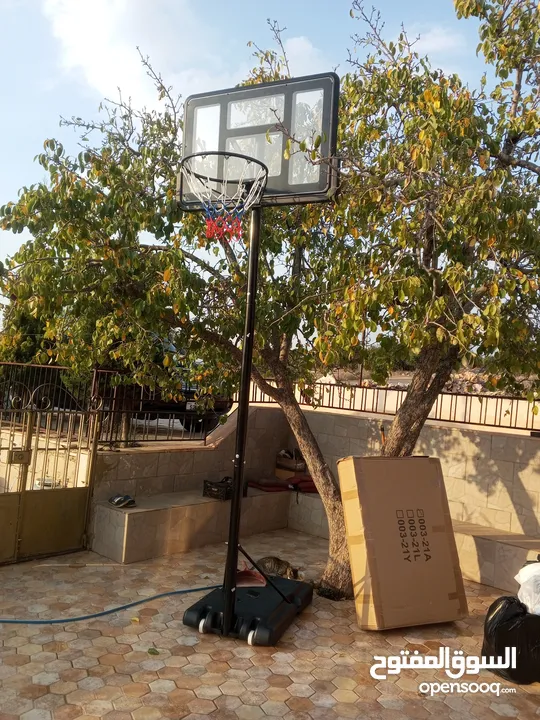 أفضل ستاند سلة زجاجي مقاس رائعه وقابل للتعديل فاخر اصلي نخب بحق الله
