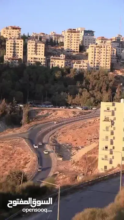 الوسيط ضياء