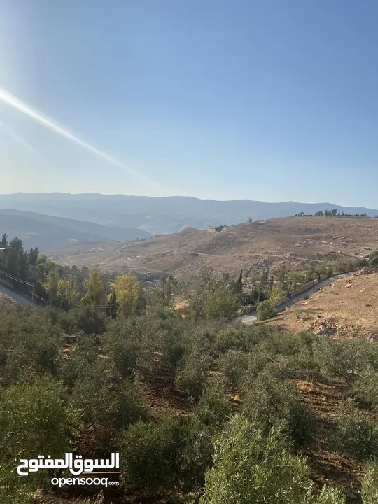 مزرعة للبيع