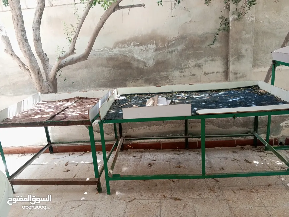 ستاندات خضرة
