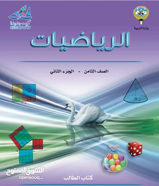 معلمة رياضيات خبرة 10 سنوات للمرحلة الابتدائية والمتوسطة والصف العاشر