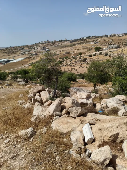 أرض طابو مطلة ومشجرة بسعر مغري