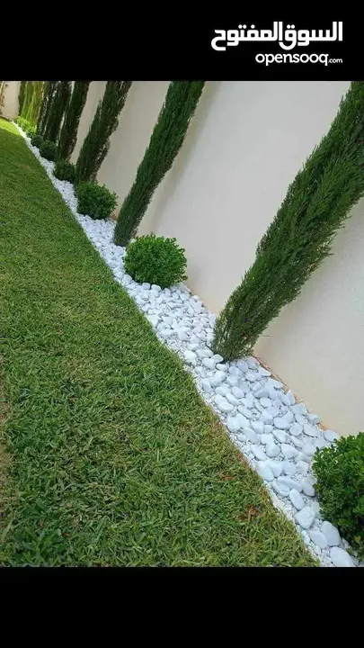 جميع انواع الاشجار  وفريق لصيانة وتنسيق جميع الحدائق والأشجار