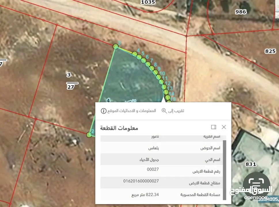 قطعتين ارض في ناعور