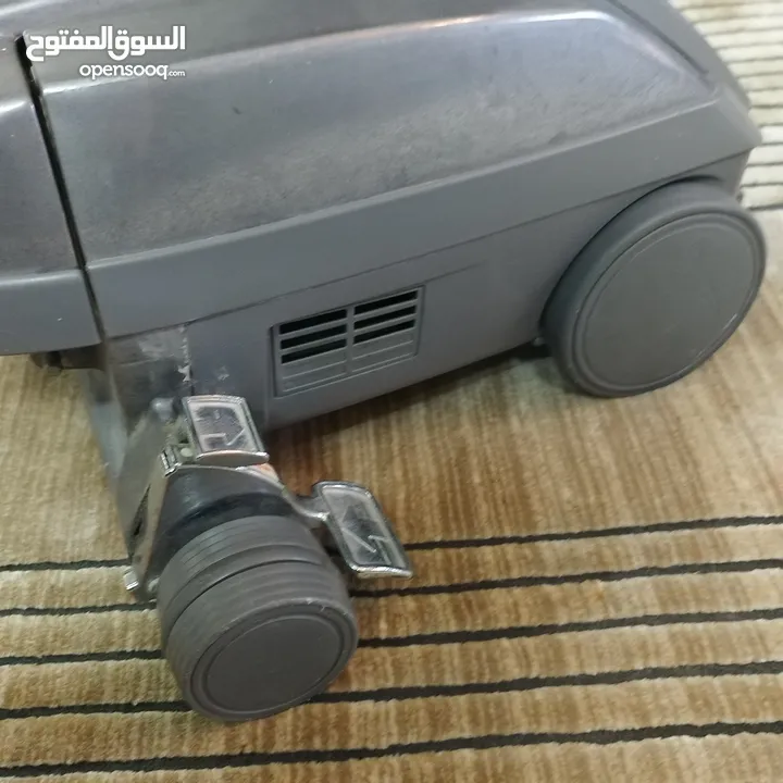 طقم شاموا أمريكي