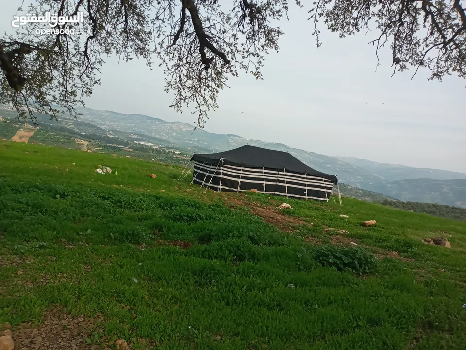 خيم شعر تراثيه