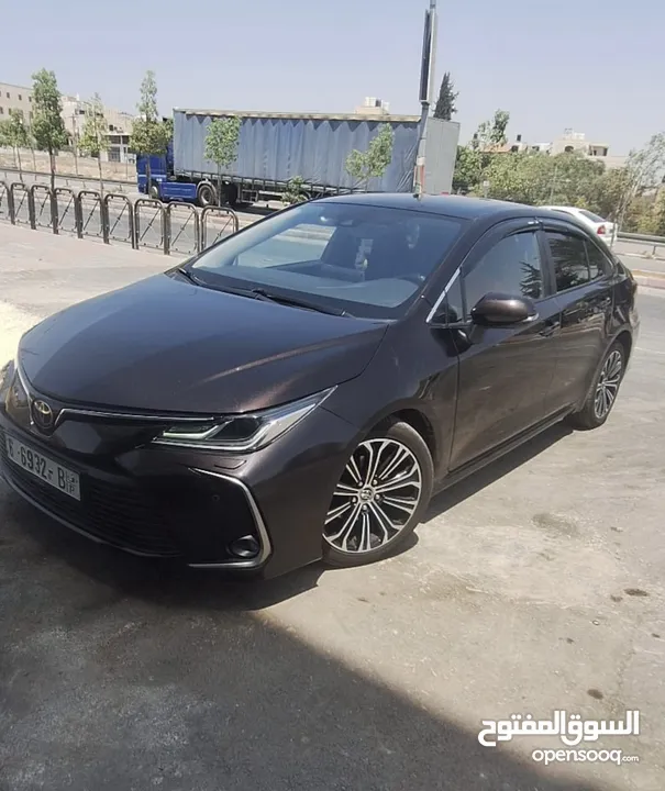 تويتا كارولا 2019