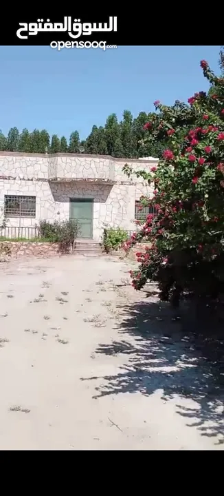 مزرعة للبيع في الكرامة