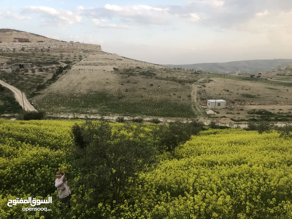 أرض بسعر مغري