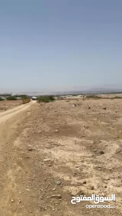 للبيع ارض في منطقة البحر الميت