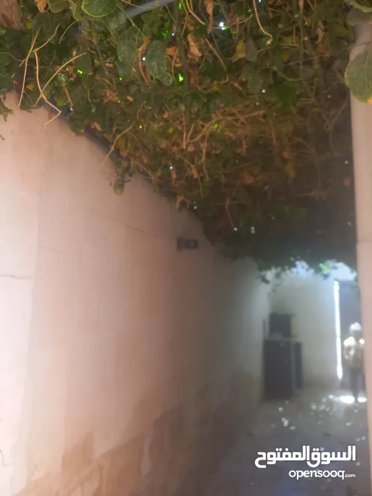 عمارة للبيع