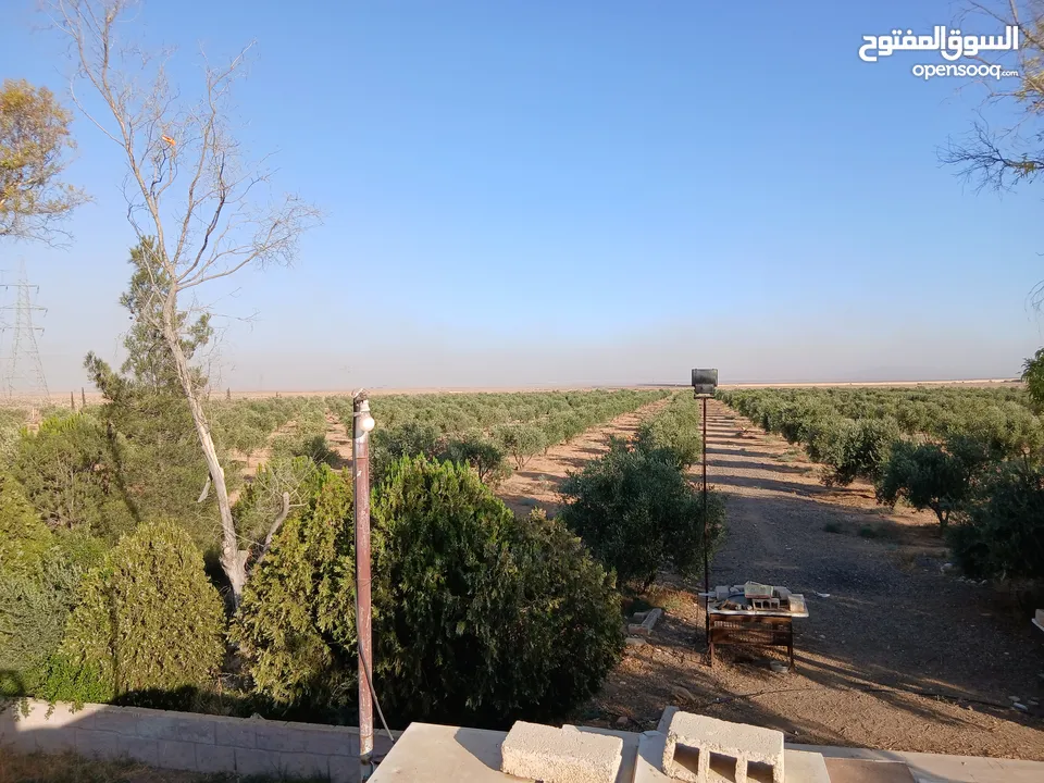 مزرعة للبيع ريف دمشق
