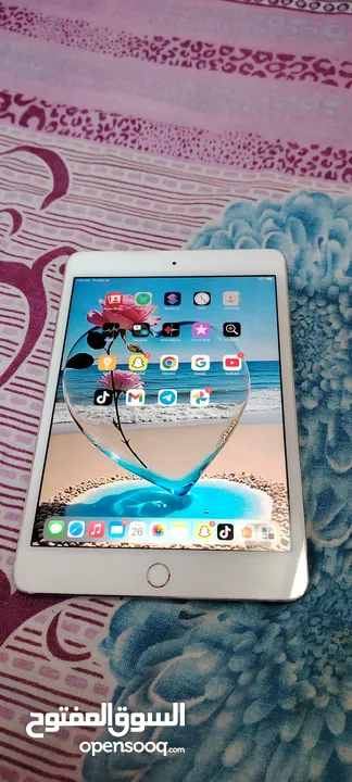 iPad Mini4    128GB