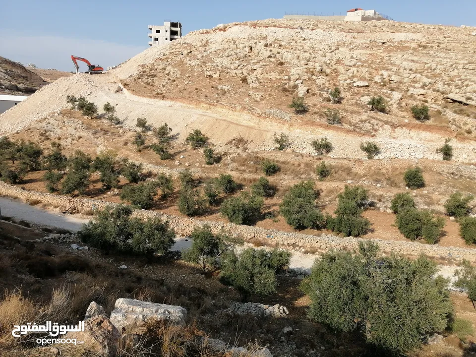 ارض للبيع في جناتا