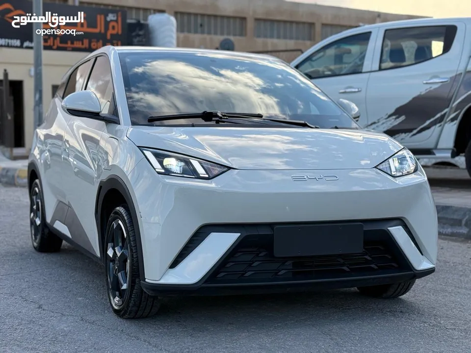 بس واي دي سيجول 305k 2023