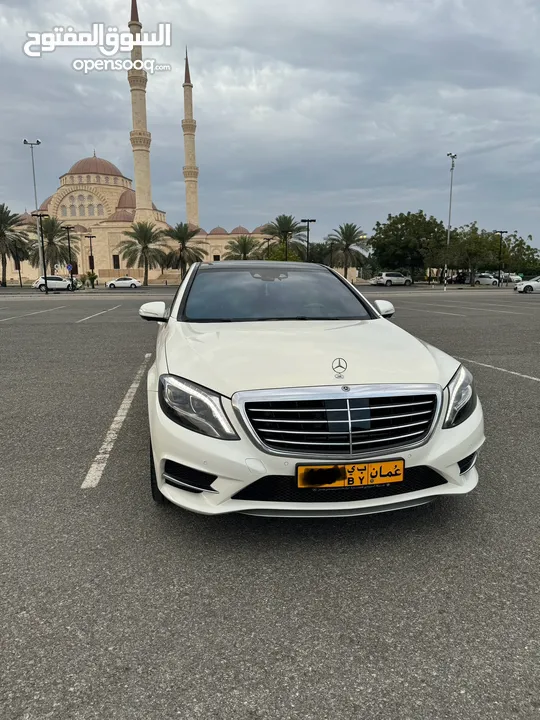 S400L لارج وكاله زواوي مالك الاول- 6 فصوص