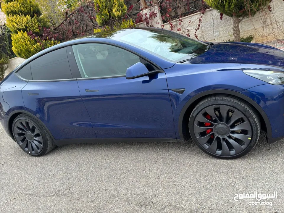تيسلا y ‏ Dual Motor Performance tesla 2022