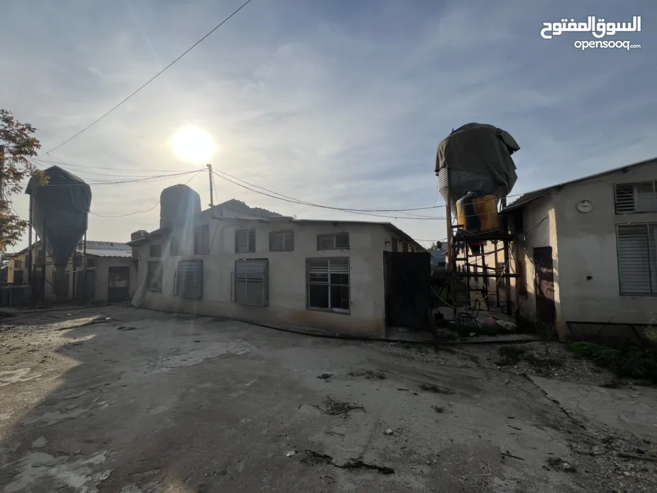 مشروع دواجن متكامل وجاهز للإنتاج – ليس مجرد أرض