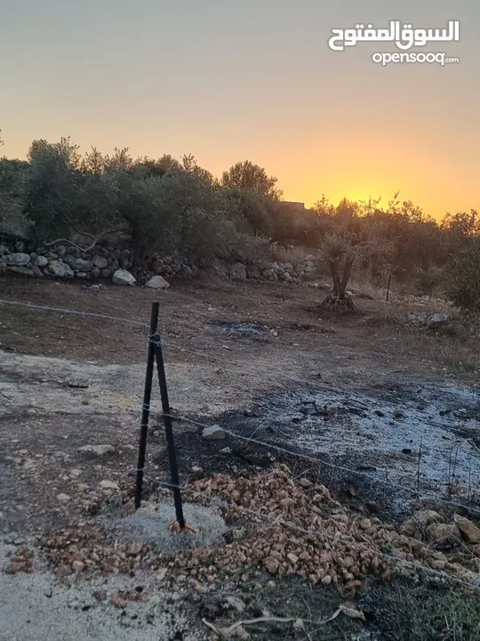 ارض نصف دونم مسطحه  طابو كدوم موقع ممتاز للبناء وتصلها جميع الخدمات