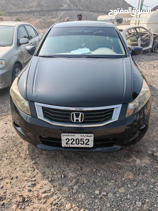 Honda accord