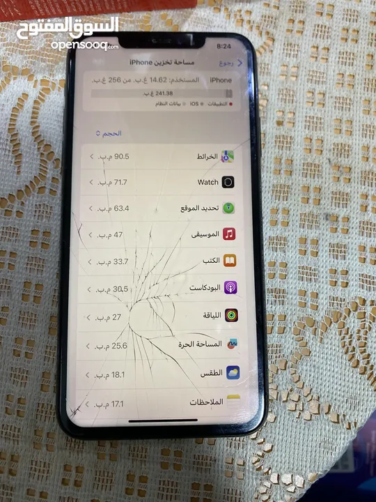 11 برو ماكس تخزين 256 فطر شاشه