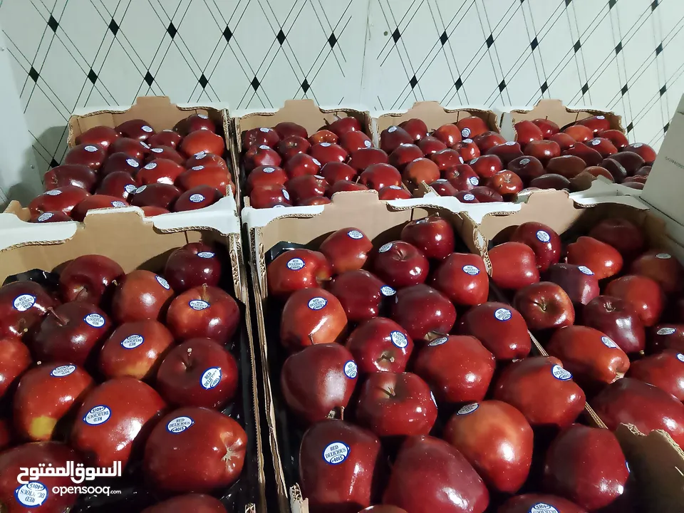 مشروع تجاري مربح بحاجه لتمويل