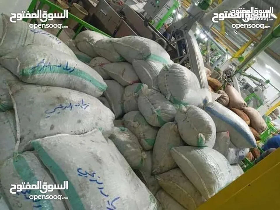 زيت زيتون  بعل  عصره أولة
