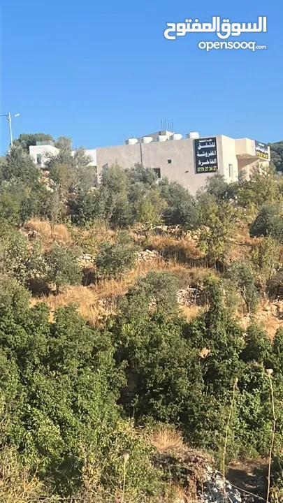 شاليهات عدد 2 بدون مسابح