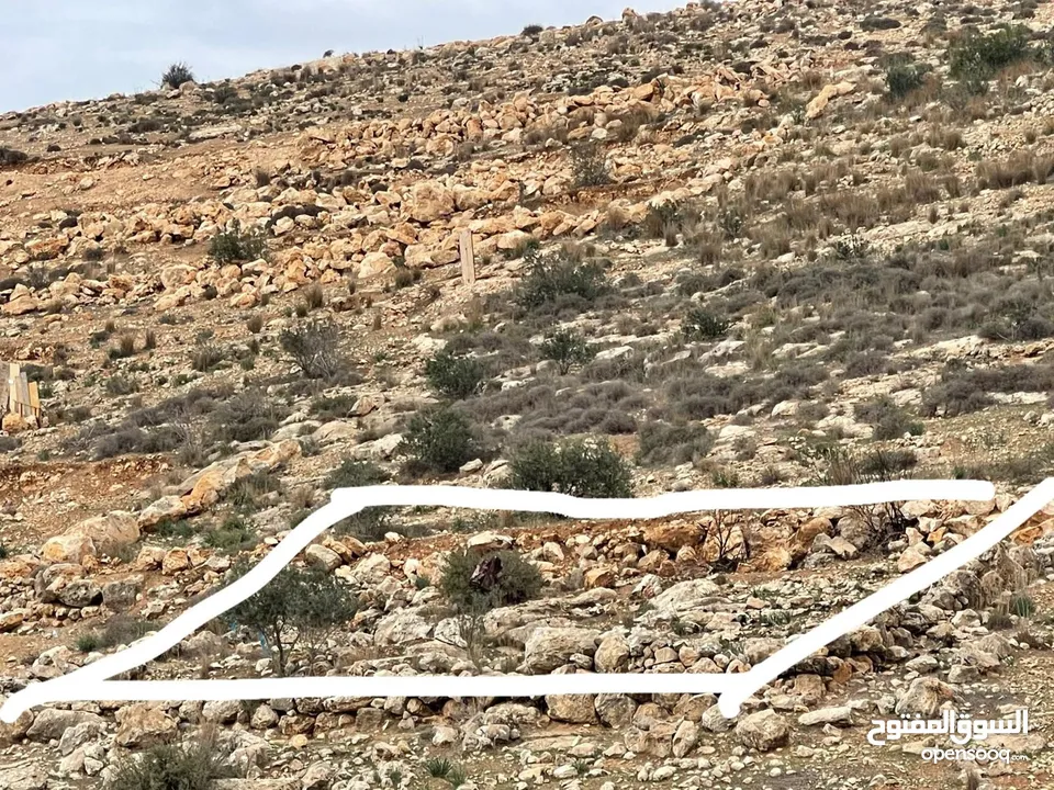 ارض بسعر مغري