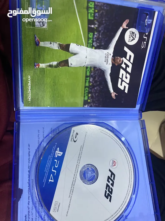 سيدي فيفا 25